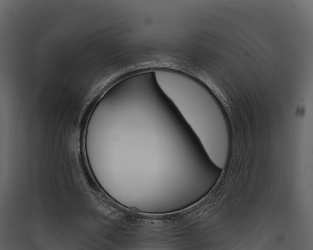 X0000090420486200707130950