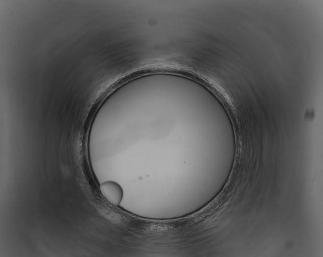 X0000090420487200707130950