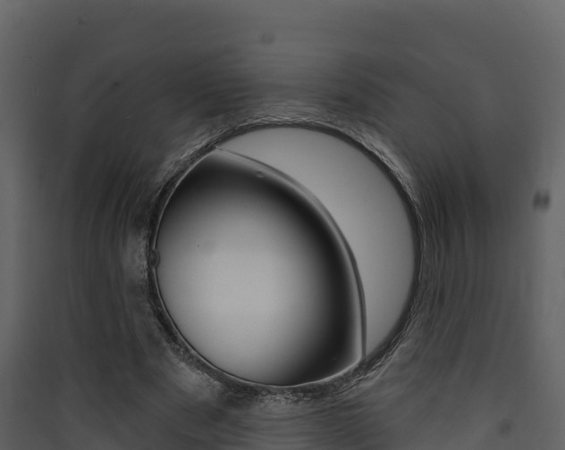 X0000090420489200707130950