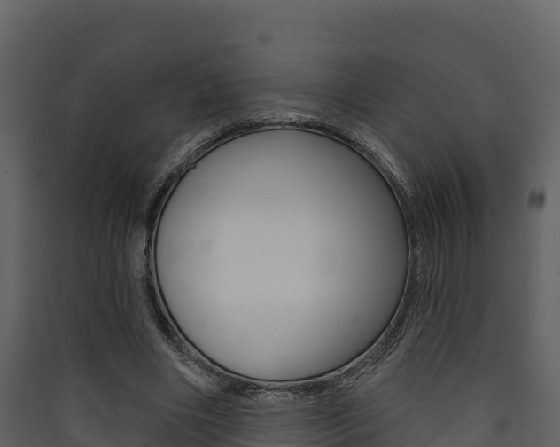 X0000090420490200707130950