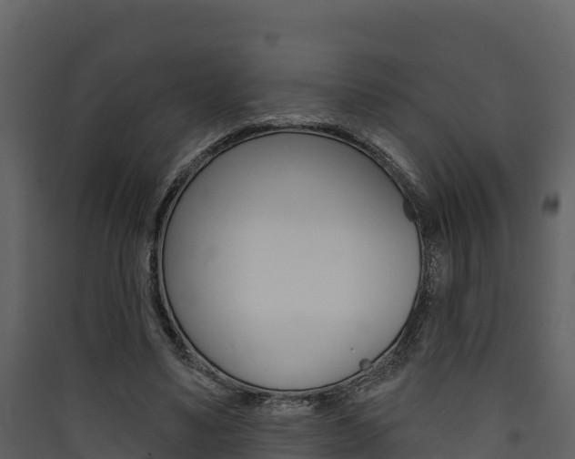 X0000090420491200707130950