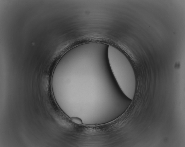 X0000090420494200707130949