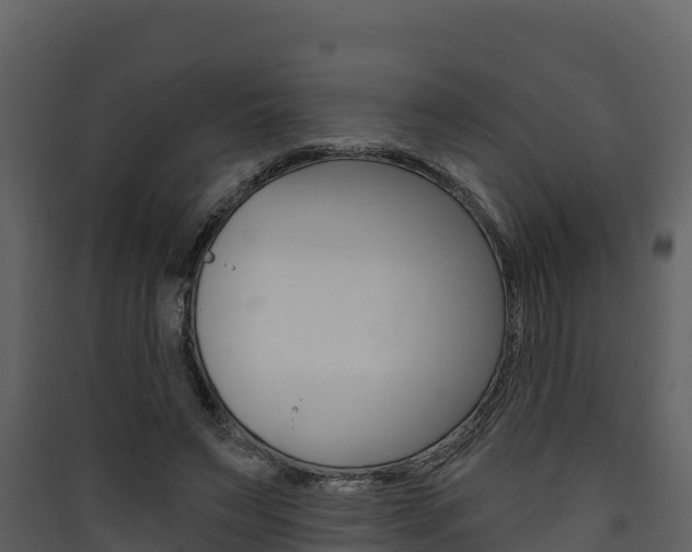 X0000090420495200707130949