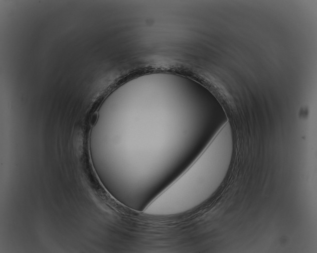 X0000090420496200707130949