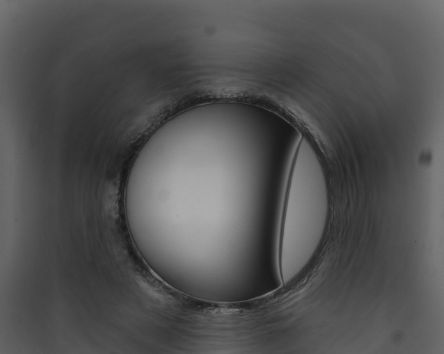 X0000090420497200707130949