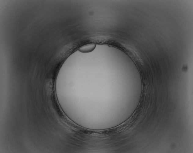 X0000090420498200707130949