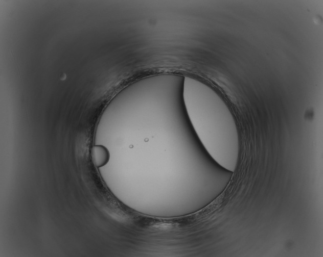 X0000090420499200707130949