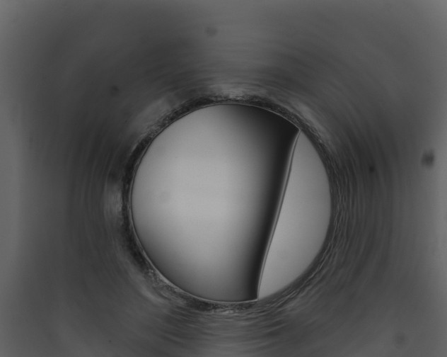 X0000090420500200707130949