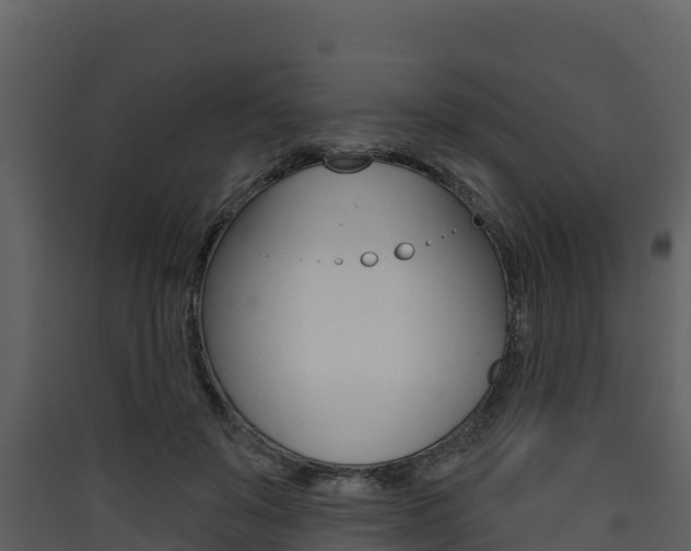 X0000090420503200707130949