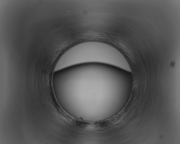 X0000090420504200707130949