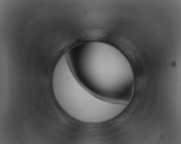 X0000090420505200707130949