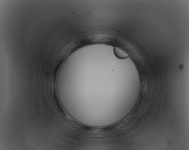 X0000090420506200707130949
