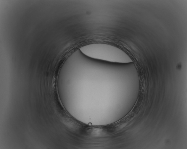 X0000090420507200707130949