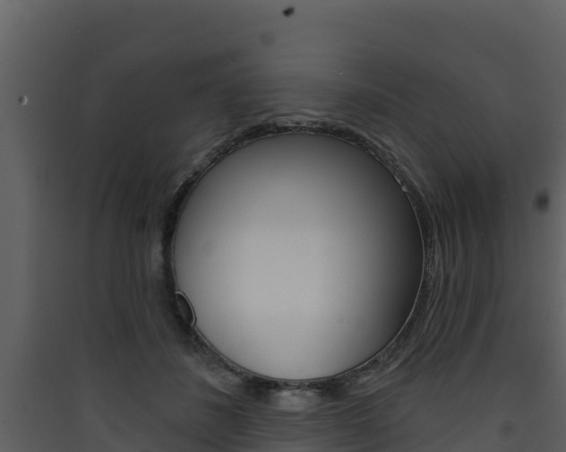X0000090420508200707130949
