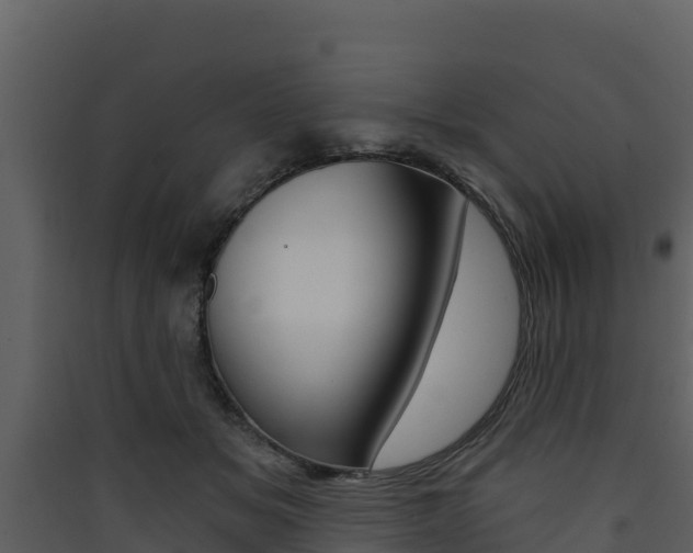 X0000090420509200707130949
