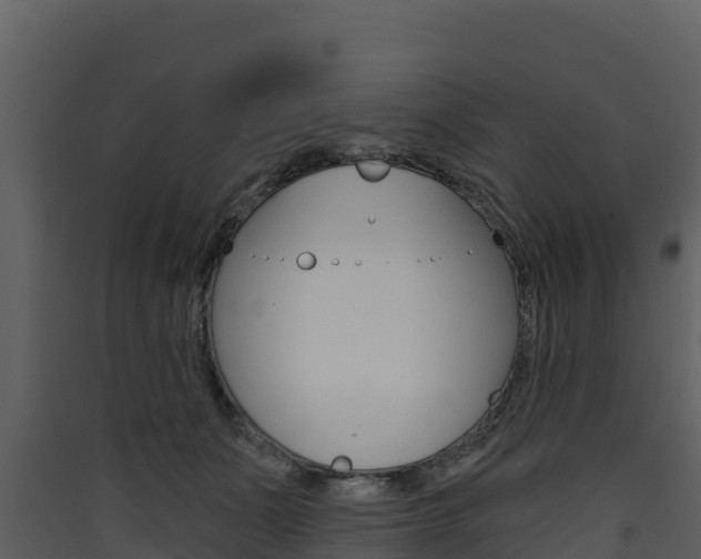 X0000090420511200707130949