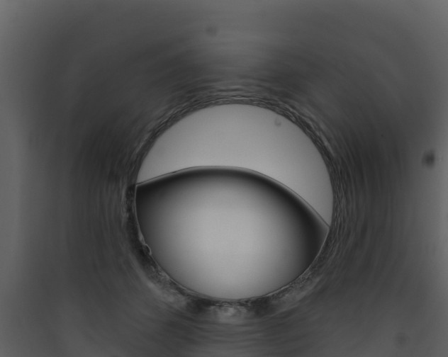 X0000090420512200707130949