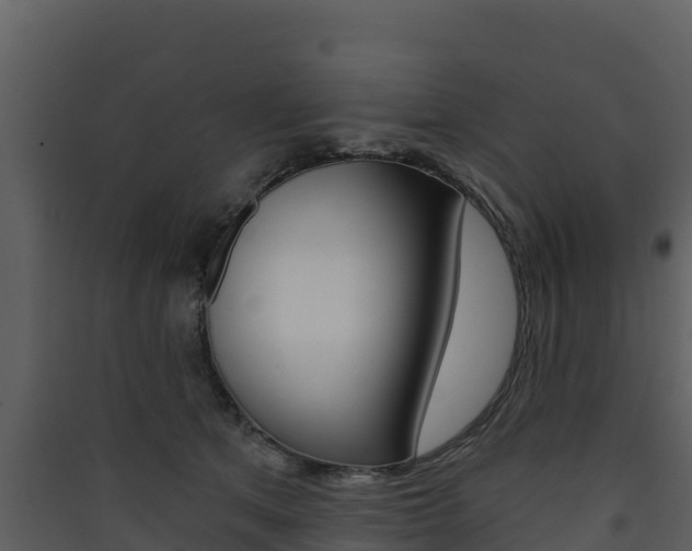 X0000090420513200707130949