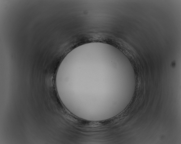 X0000090420514200707130949