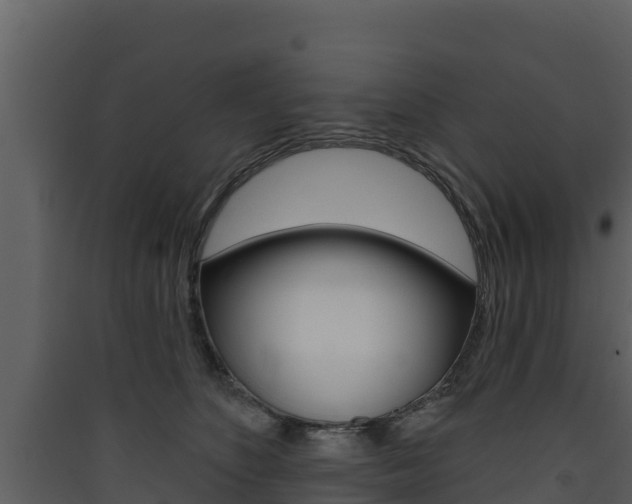 X0000090420516200707130949
