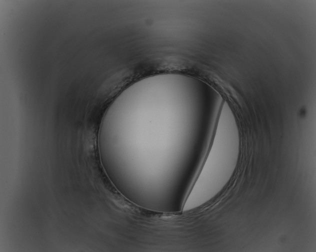 X0000090420517200707130949