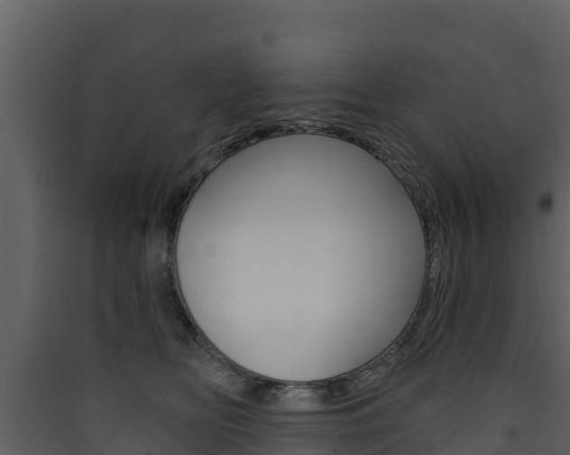 X0000090420518200707130949
