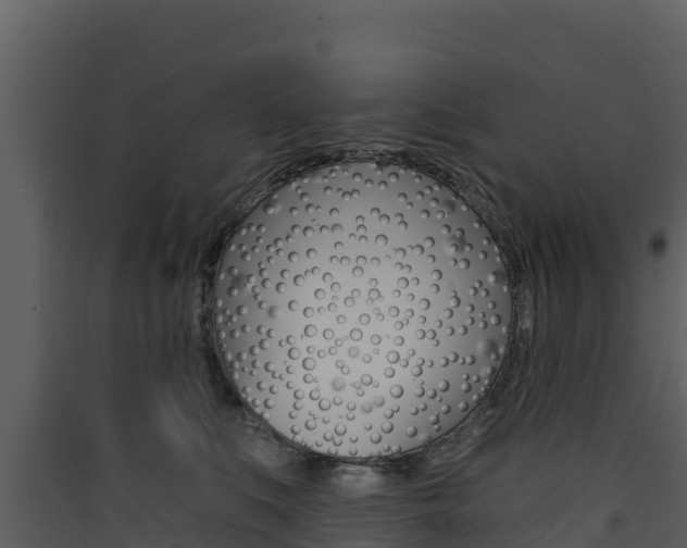 X0000090420519200707130949