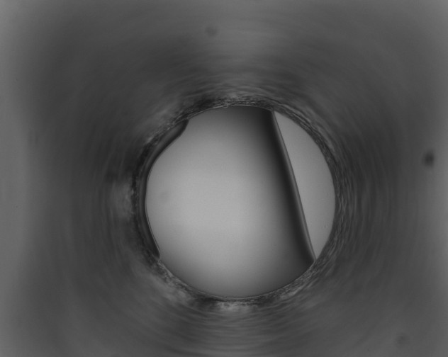 X0000090420520200707130949