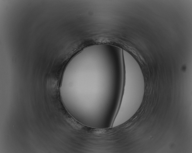 X0000090420521200707130949