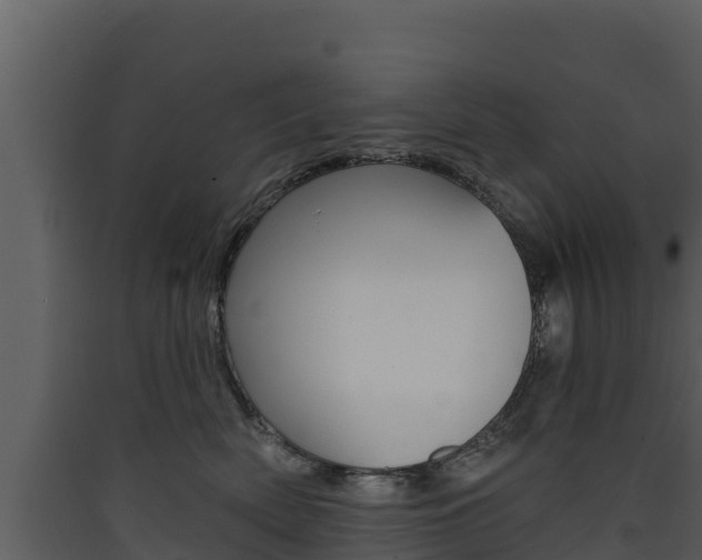 X0000090420522200707130949