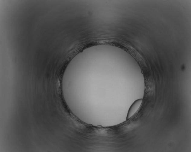 X0000090420523200707130949