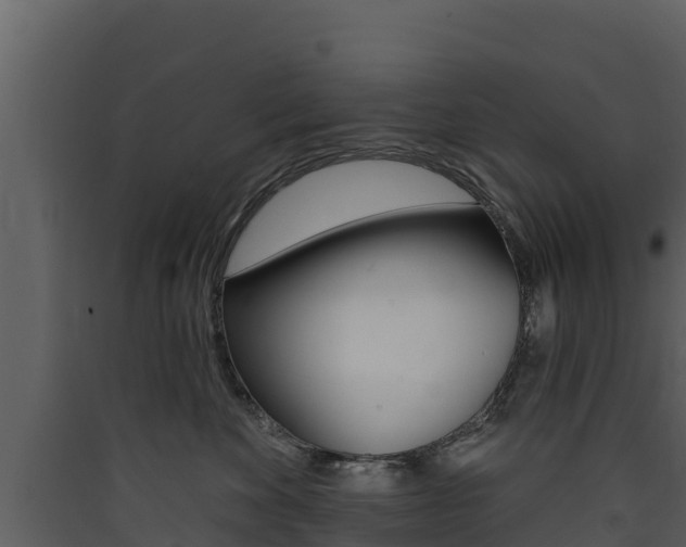 X0000090420524200707130949