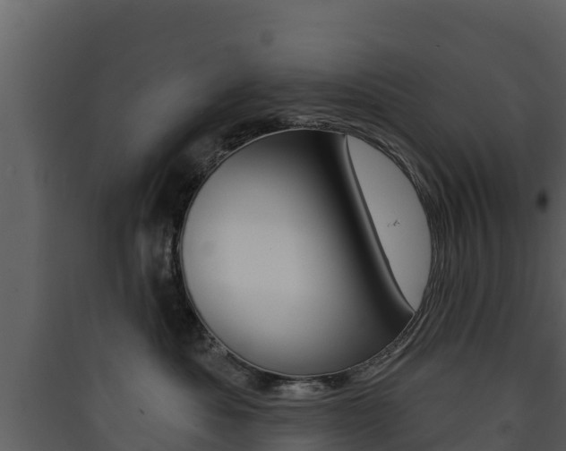 X0000090420525200707130949