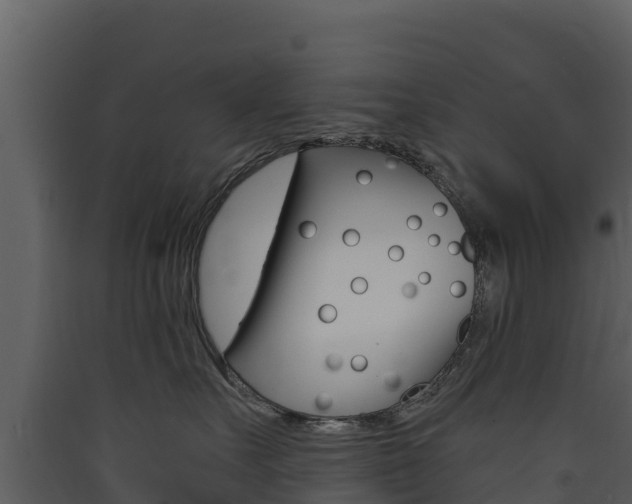 X0000090420527200707130949