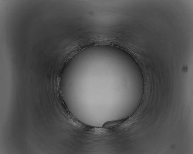 X0000090420528200707130949