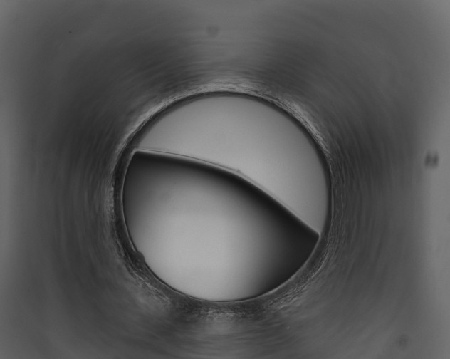 X0000090420531200707130948