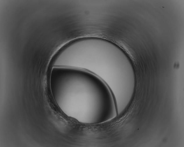 X0000090420532200707130948