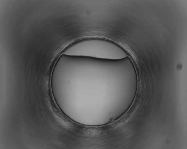 X0000090420533200707130948