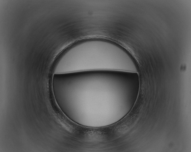 X0000090420535200707130948