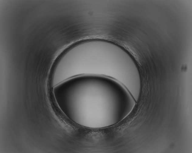 X0000090420536200707130949