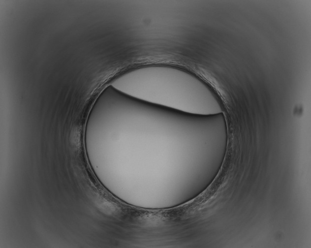 X0000090420537200707130949