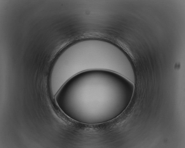 X0000090420538200707130949