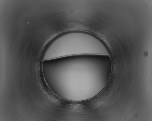 X0000090420539200707130949
