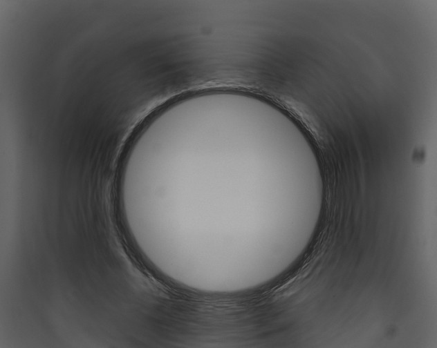 X0000090420540200707130949