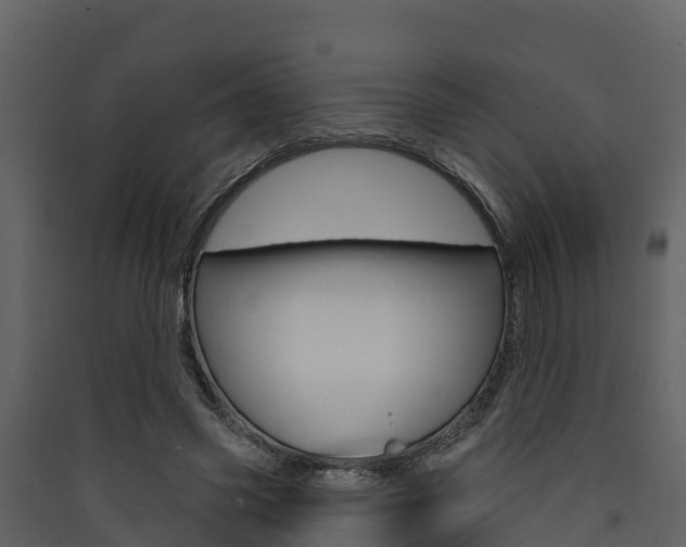 X0000090420541200707130949