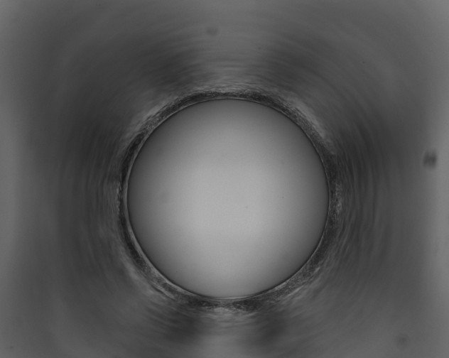 X0000090420542200707130949