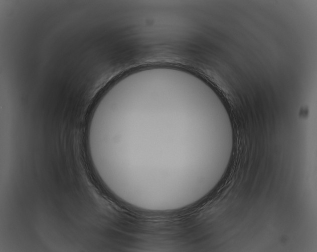 X0000090420544200707130949