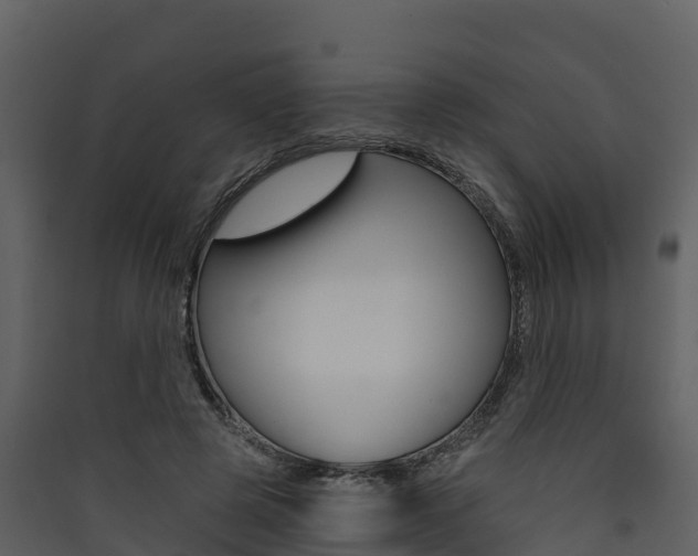 X0000090420545200707130949