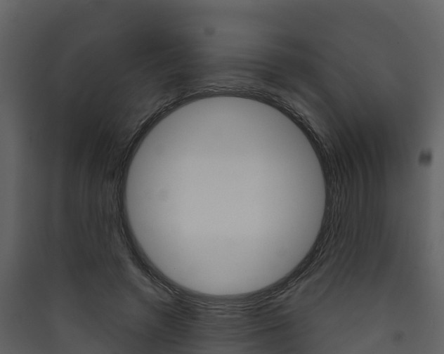 X0000090420546200707130949