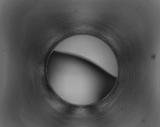 X0000090420547200707130949